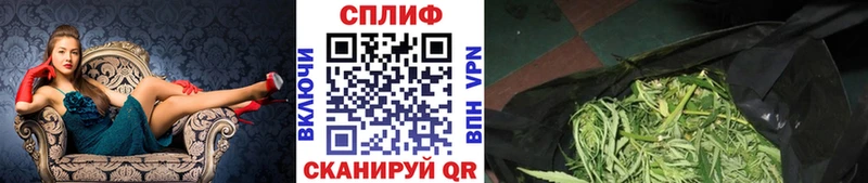 Купить закладку Бошки Шишки  Мефедрон  БУТИРАТ  APVP  Галлюциногенные грибы  ГАШИШ  Cocaine  Брянск