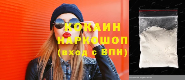 мет Няндома